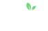 Fruity Casa